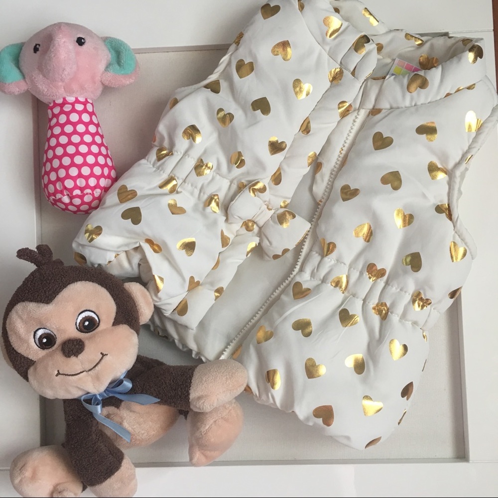 💜NWOT 3-6 mo Puffer Vest💜